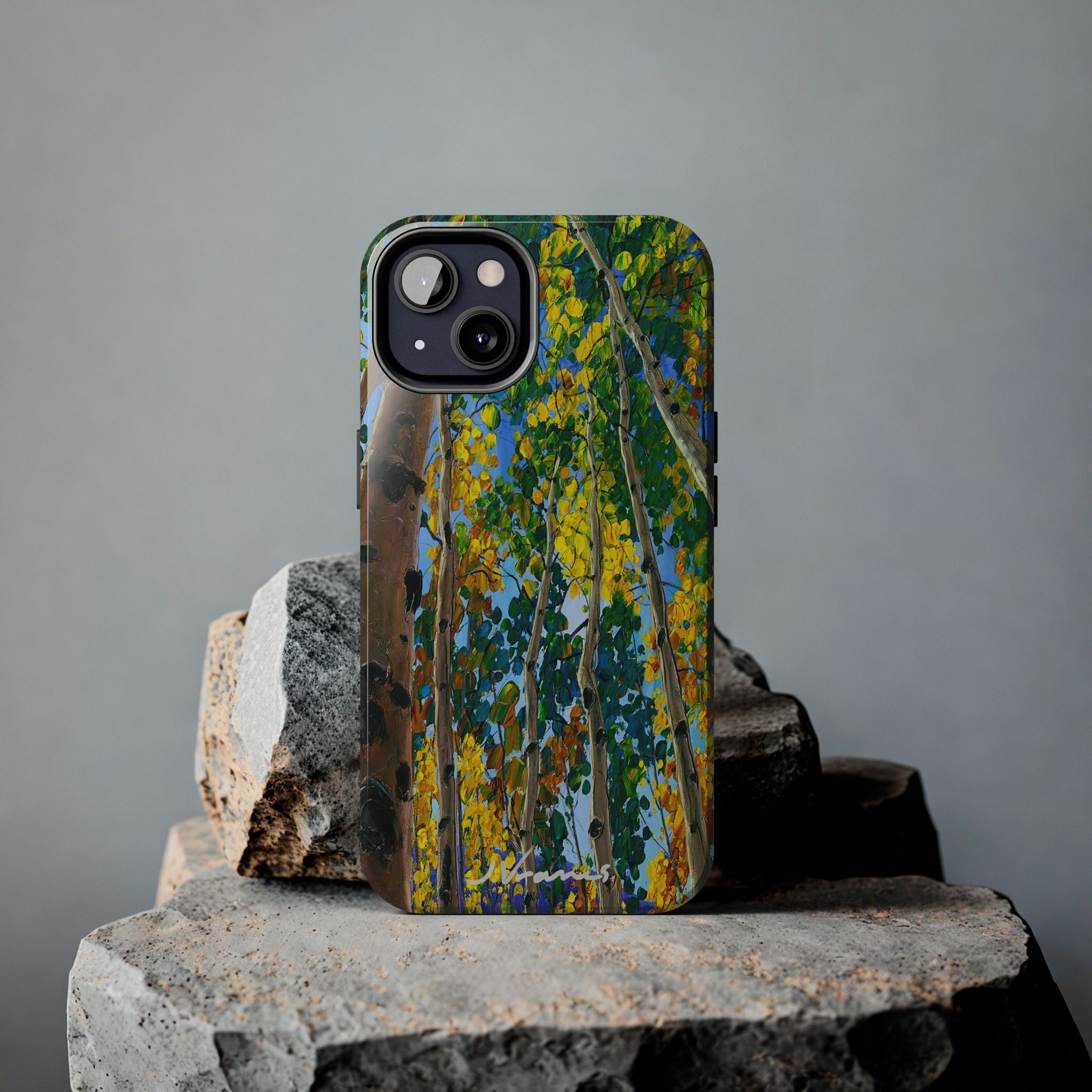 Heavenward Premium Phone Case