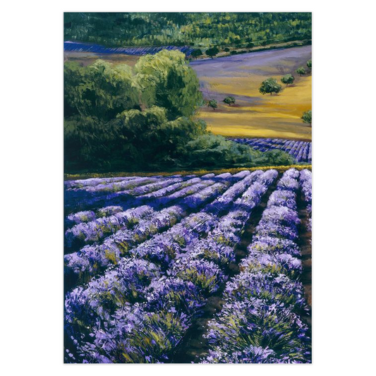 Summer in Provence (5-pack) Art Greeting Cards, FREE Shipping