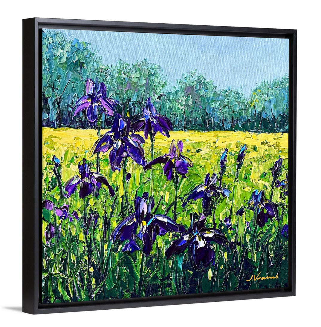Special Release Giclée - Purple Irises (Free Black Frame, Free Delivery)
