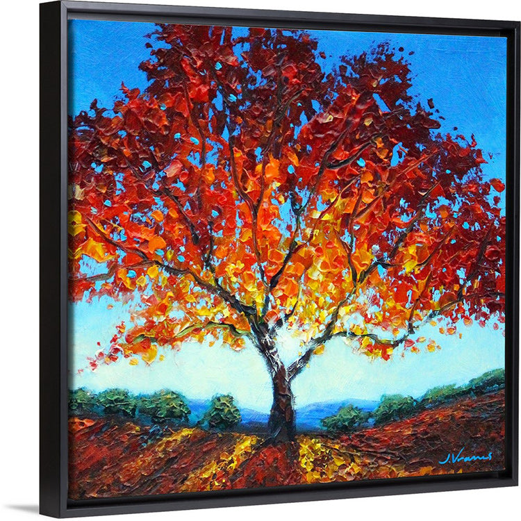 Sunlit Maple - 12x12 Framed Canvas