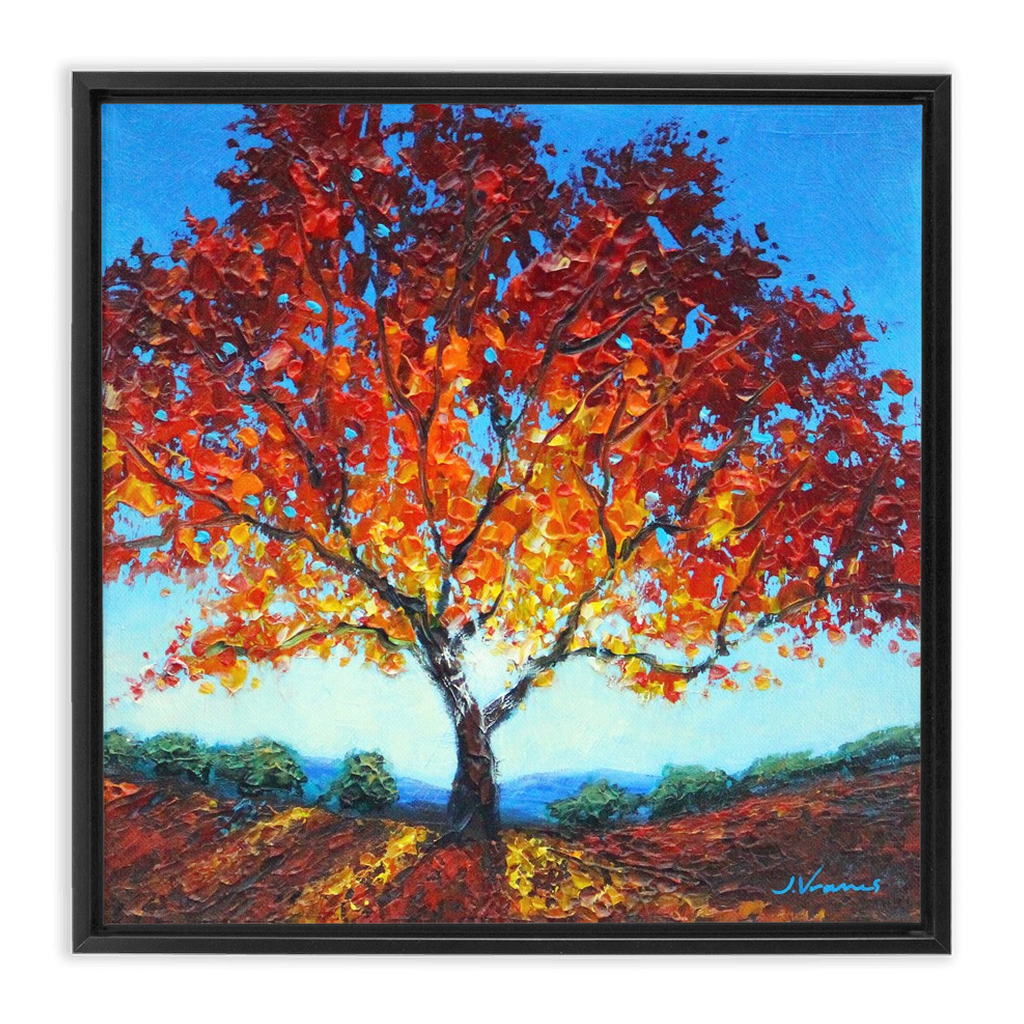 Sunlit Maple - 12x12 Framed Canvas